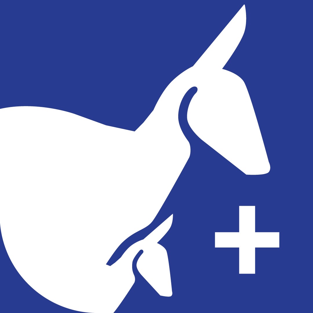 Logo HopHop