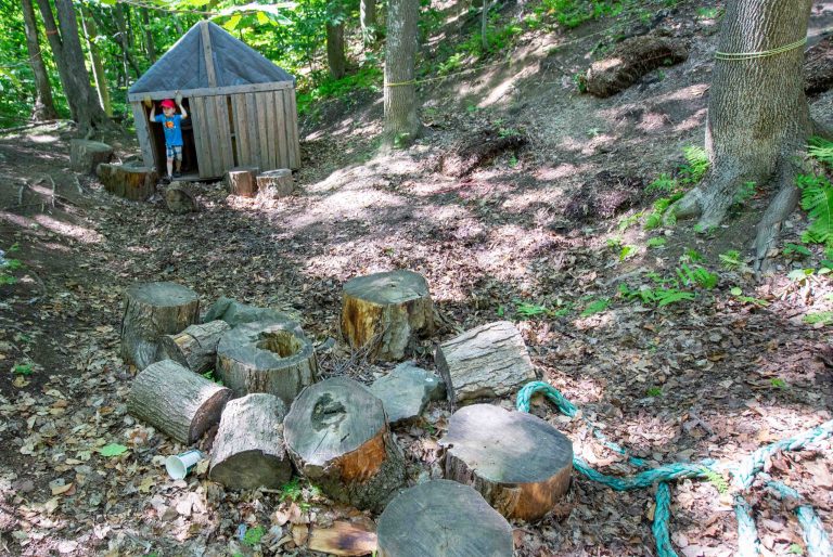Coin de jeu en forêt avec bûches et petite cabane