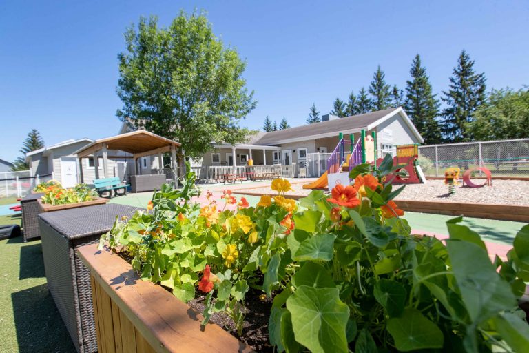 Jardin de fleurs dans la cour d'un service de garde